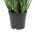 thumbnail image 4 of Vickerman 24" Artificial Potted Green Grass., 4 of 5