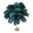 thumbnail image 1 of Ostrich Feather Night Light, Rechargeable Modern LED Decorative  Light with Feathers Dimmable Bedside Table Lamp Touch Switch Ostrich Feather Lamp for Bedroom Nightstand, 1 of 8