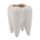 thumbnail image 1 of Maceta de cerámica blanca con forma de diente, diseño moderno (sin plantas), 1 of 8