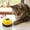 Yellow, variant on Eoozwa Pet Training Bells, Dogs Bell for Door Potty Training and to Ring to Go Outside Communication Device Dog AgilityTraining Equipment Interactive Toys