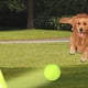 thumbnail image 4 of Máquina Interactiva Divertida Catapulta Interactiva Divertida Lanzador de Pelotas de Tenis para Perros Recargable Persigue A Perros Juguetes Automáticos A, 4 of 9