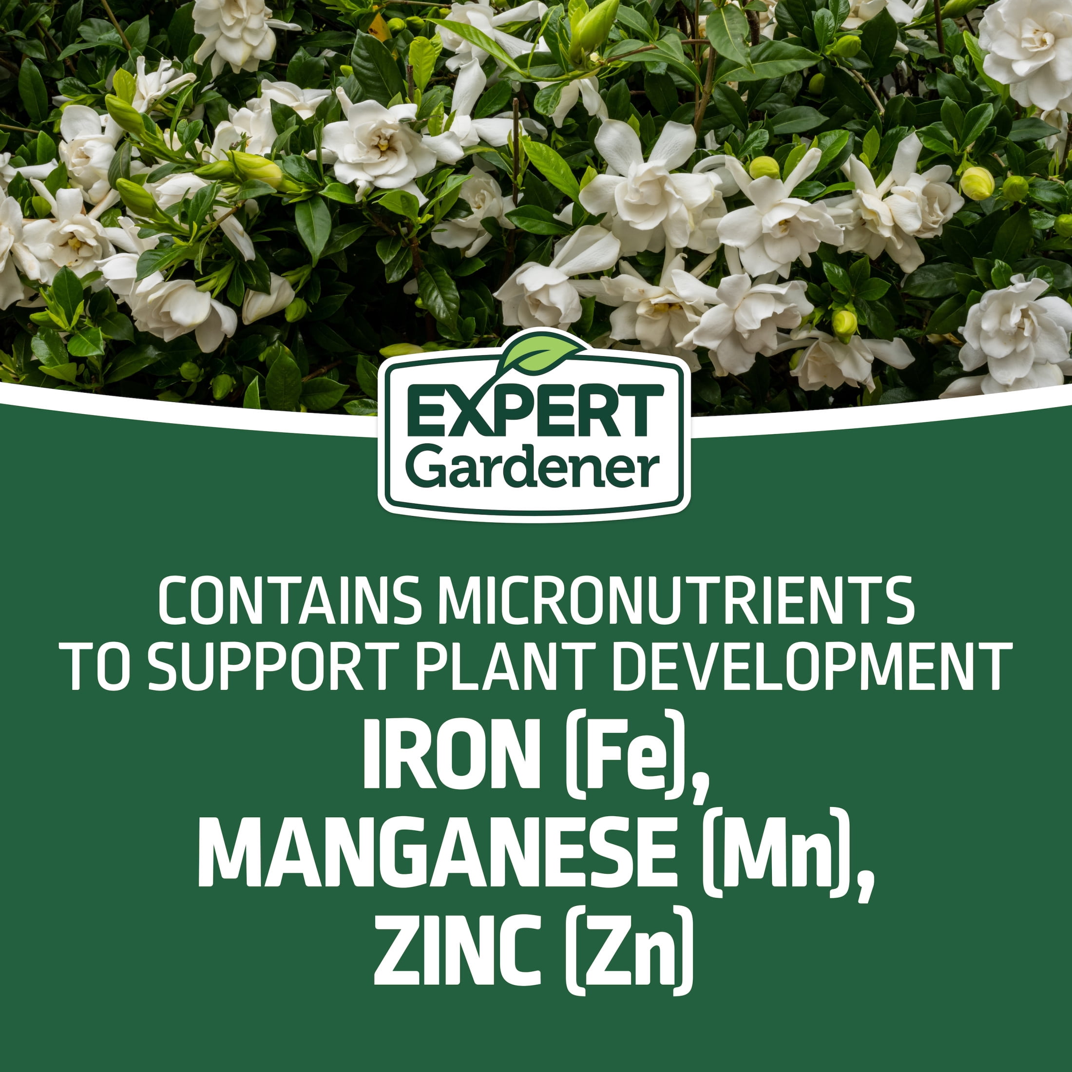 Expert Gardener Evergreen Tree and Shrub Plant Food, 16-4-8 Fertilizer, 4 lb.
