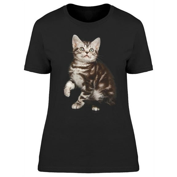 Shorthair Cat, Looking Up T-Shirt Women -Image by Shutterstock, Female x-Large