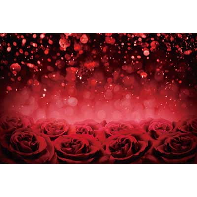 Shimmer Wall Backdrop Glitter Wallpapers Photo Background Birthday Party rations Photography Studio Shooting Props