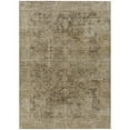 thumbnail image 2 of Addison Rugs Chantille Indoor/Outdoor Traditional Border Brown Machine Washable Rectangle Rug, 10' x 14', 2 of 7