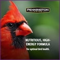 thumbnail image 4 of Pennington Pride Songbird Nut & Fruit Blend, Wild Bird Seed for Outside Feeders, Advanced Nutrition Formula for Bird Health, 10-lb. Bag, 4 of 4