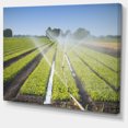 thumbnail image 2 of Beautiful View of Crops Watering - Landscape Canvas Art Print, 2 of 4