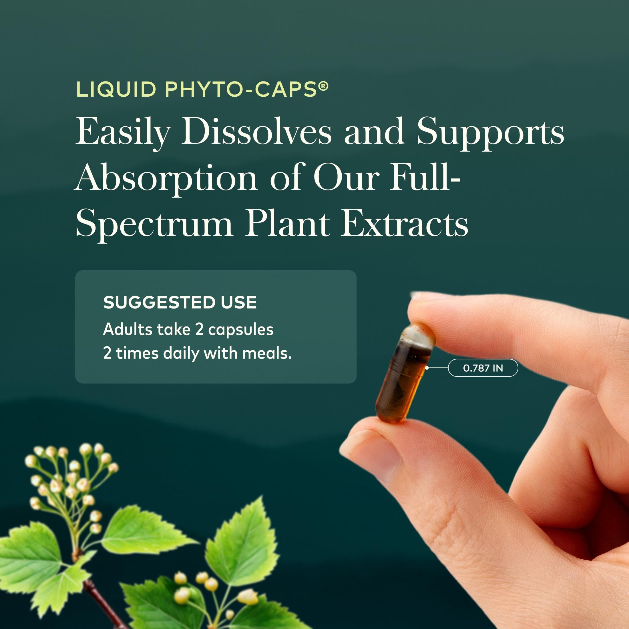 Gaia Herbs Turmeric Supreme Joint Health - Joint Support Supplement with Cucumber, Quercetin, Black Pepper, Ginger Root, Curcuminoids & More* - 120 Liquid Phyto-Caps (60 Servings)