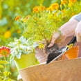 thumbnail image 3 of Lnrkai 11.8" Aluminum Garden Trowel Ergonomic Handle, Garden Shovel with Scale, 3 of 8