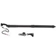 thumbnail image 2 of High Strength Electric Tailgate Lift Struts for NX 200t and NX 300h  Power Tailgate Support, 2 of 7