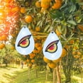 Eye Decoy To Scare Birds Away Bird Device With Hanging Outdoors