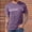 Purple, variant on Men's Workout Shirts Moisture Wicking Short Sleeve Mesh Athletic T-Shirts Army Green M