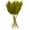 Green Grass Solid Cluster 2" x 1" x 35", variant on 35" Grass Dried Plant Natural Foliage Pampas Bouquet with Long Stems, by DecMode