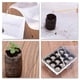 thumbnail image 5 of 110 Pcs Professional Peat Pellets Plant Starting Soil Block Seedling, 5 of 5