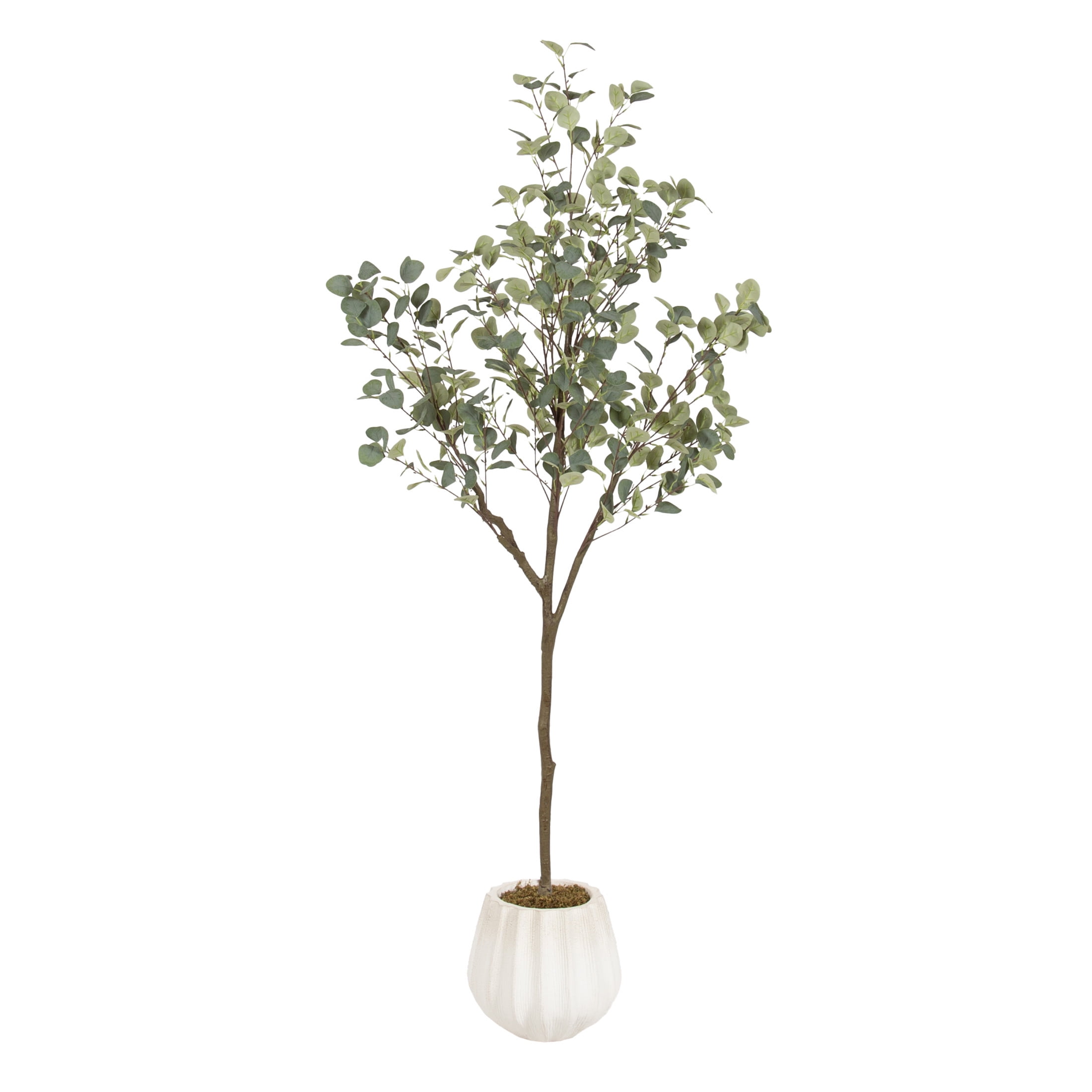 Kate and Laurel Eudora Faux Eucalyptus Tree with Claudel Scalloped Planter Pot, 6 FT, White, Potted Artificial Tree Indoor with Realistic Foliage and Added Moss, Fake Plant for Living Room Decor