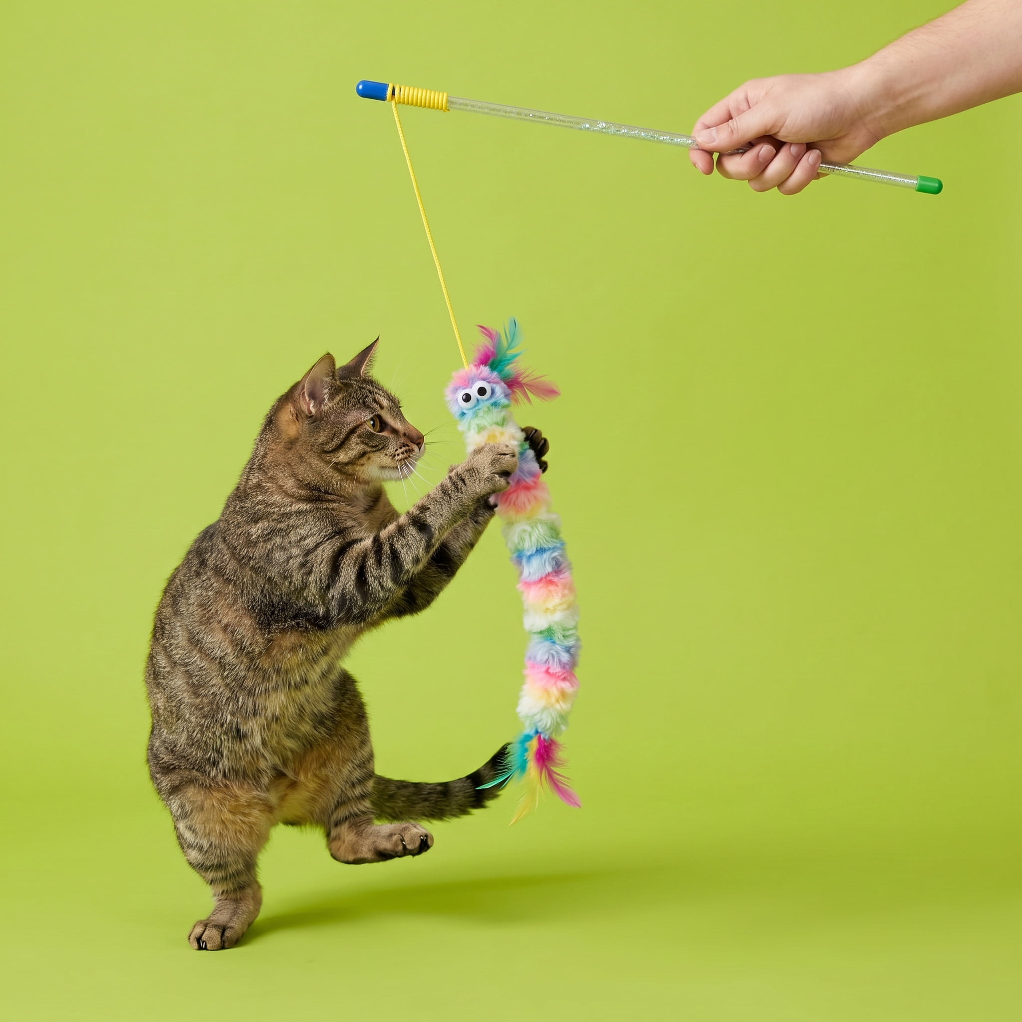 Vibrant Life Catnip Rainbow Wand Teaser Cat Toy, 23"