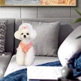 thumbnail image 2 of Camisa para perro falda mascota responsable sin mangas vestido de cachorro verano lindo chaleco vegano para perros pequeños o medianos ropa de gato rosa L, 2 of 5