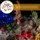thumbnail image 4 of KAKOWELY Guirnalda de luces navideñas de 3 metros y 20 LED., 4 of 5