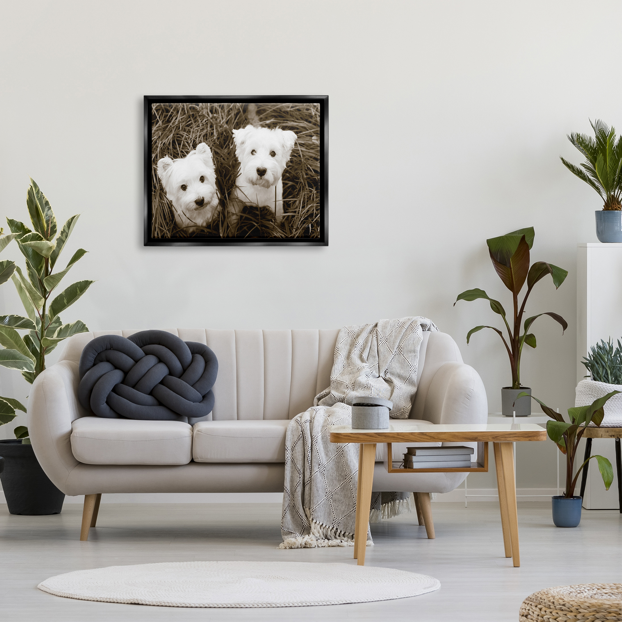 Stupell Industries White Terrier Puppies Animals & Insects Photography Black Floater Framed Art Print Wall Art, 31 x 25