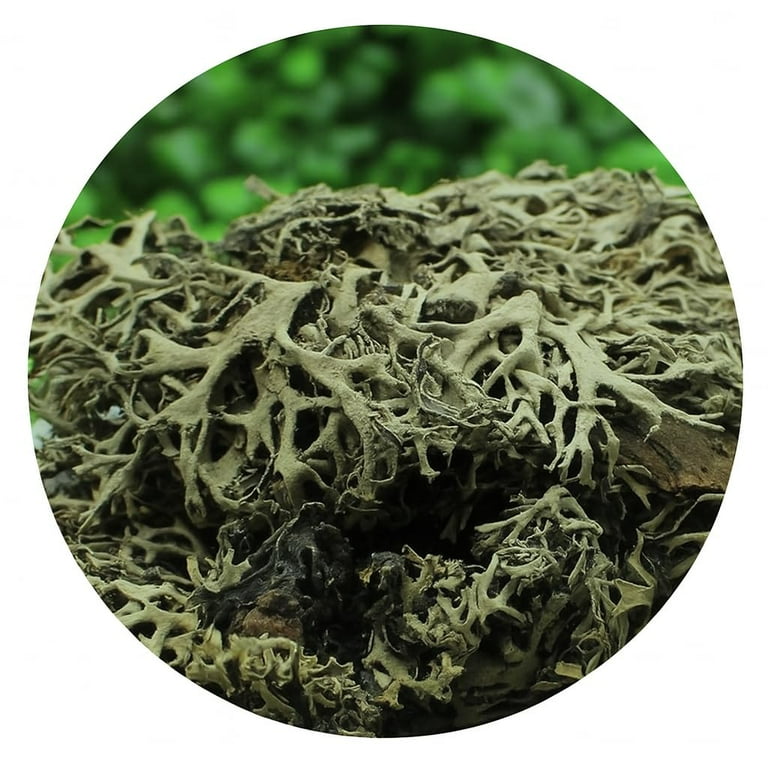 Natural Lungwort Herb – Cut & Dried Pulmonaria Officinalis From Serbia, 1.41 Oz (40g)