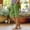 2c# Army Green, variant on Bermuda Shorts for Women Petite Cotton Linen Knee Length High Waisted Pull On Baggy Shorts with Pockets Summer Casual Lounge Side Split Pants Purple 2XL