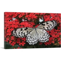 ARTCANVAS Butterfly On Red Flowers Home decor Canvas Art Print - Size: 26" x 18" (0.75" Deep)