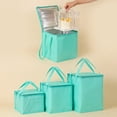 thumbnail image 2 of Insulated Cooler Bag Single Layer 6 Inch Capacity for Transport and Gifting, 2 of 7