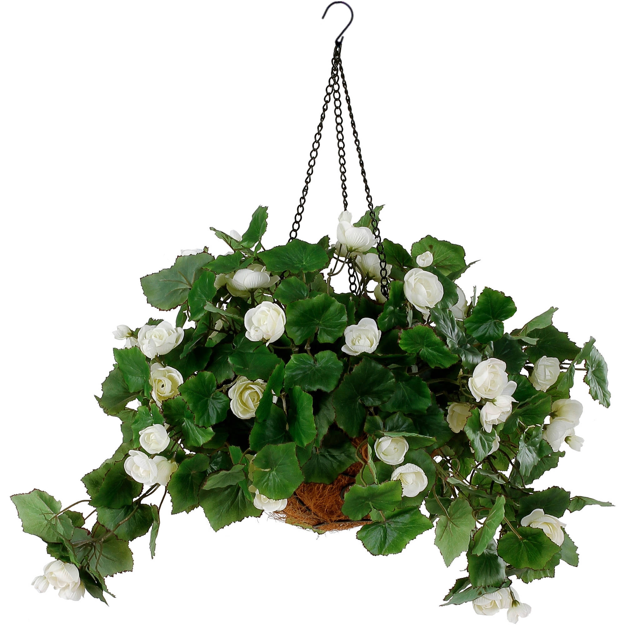 White Begonia Hanging Basket, 1 Each