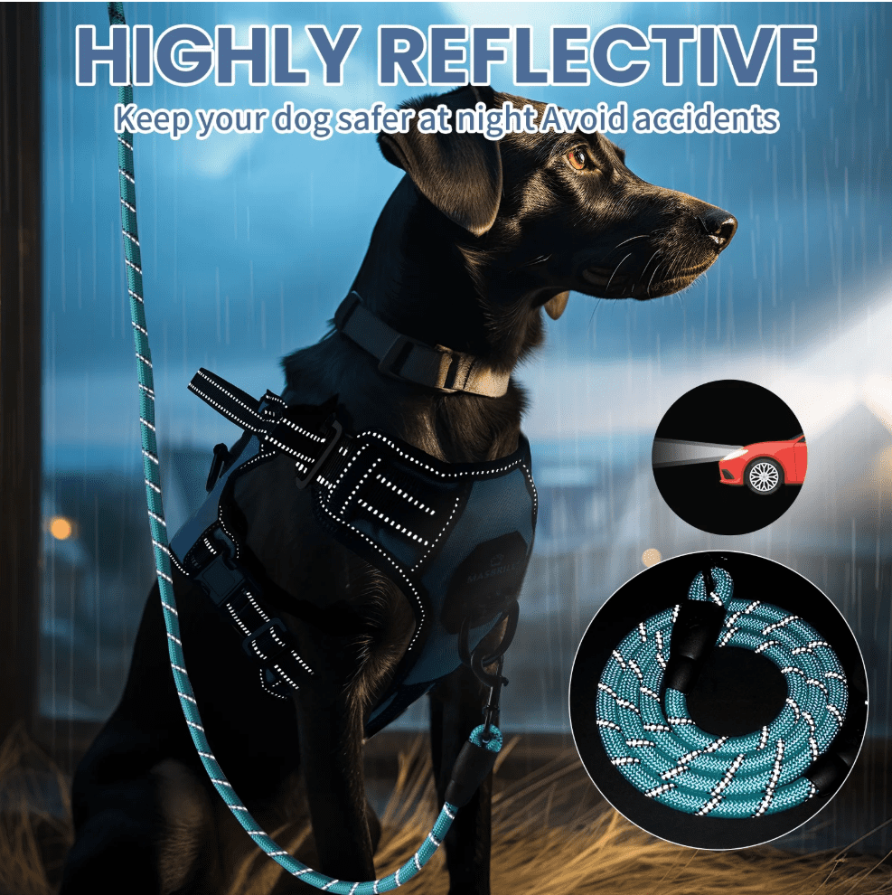 Dog Harness and Leash Set, No Pull Vest Harness, Reflective Adjustable Soft Padded Pet Harness with Handle for Small to Large Dogs