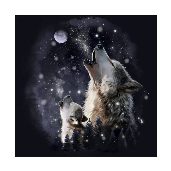 Canvas Wall Art - Kajenna Art '939 - Midnight Howl' Wall Art for Living Room, Bedroom, or Office Décor by Trademark Fine Art - 14 x 14 Inches