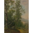 thumbnail image 2 of Asher Brown Durand 11x14 Black Ornate Wood Framed Double Matted Museum Art Print Titled: Study Of&nbsp;Trees (ca.&nbsp;1850), 2 of 5