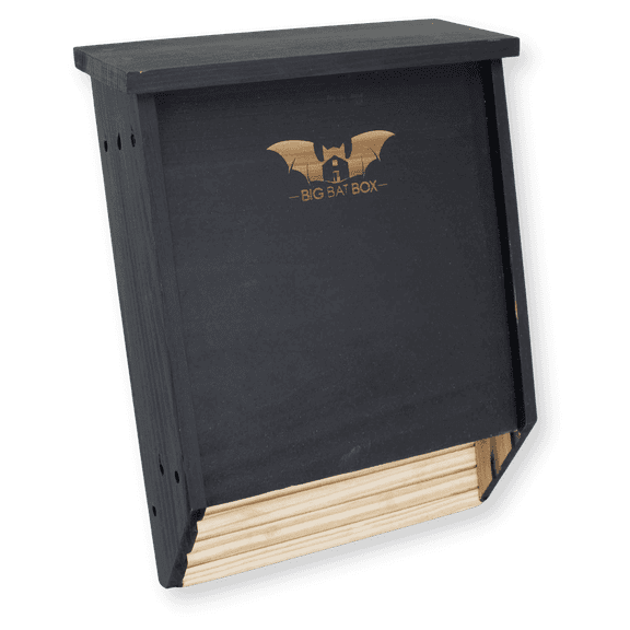 Wildyard 2 Chamber Black Cedar Bat House Holds up to 75 Bats Mosquito Control Weather Resistant