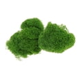 thumbnail image 1 of Mixed Model Grass Green Fake Grass Fairy Garden Mini Landscape; Yellow Green, 1 of 8
