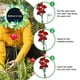 thumbnail image 5 of Bewildely Gran oferta, hermoso soporte para plantas, soporte para flores, anillo de soporte para plantas de Metal, estacas, soporte para bonsái, Jardín y Patio 40CM, 5 of 6