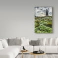 thumbnail image 3 of Trademark Fine Art 'Rainier Wildflowers' Canvas Art by Pierre Leclerc, 3 of 3
