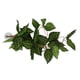 thumbnail image 5 of Planta de simulación de reptiles paisajismo decorativo vid falsa para caja de selva tropical de reptilesNFF‑84 hoja de estrella verde, 5 of 5