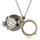 thumbnail image 3 of Portable Vintage Magnifying Glass Necklace Reading Magnifying Glass---Product code 46890, 3 of 5