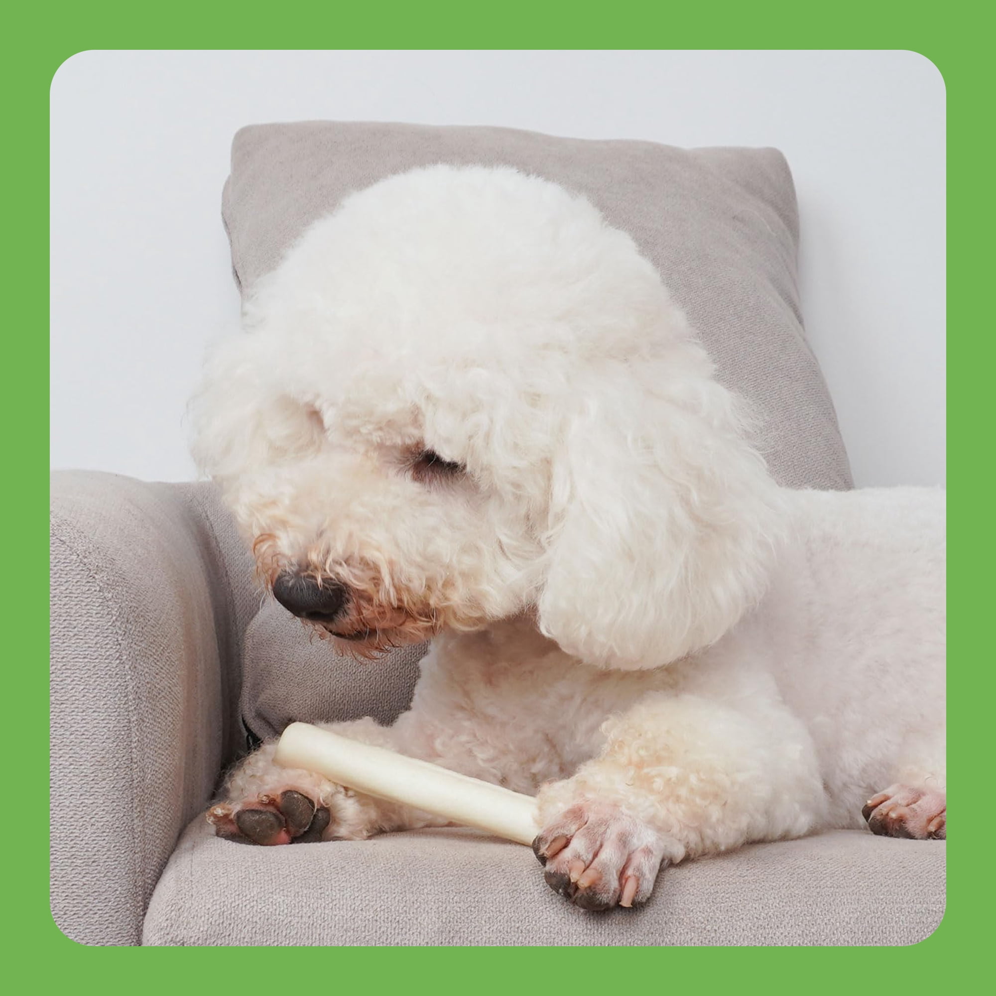 MON2SUN Rawhide Roll Sticks Small Dog Treats, 22.58 oz (40 Count)