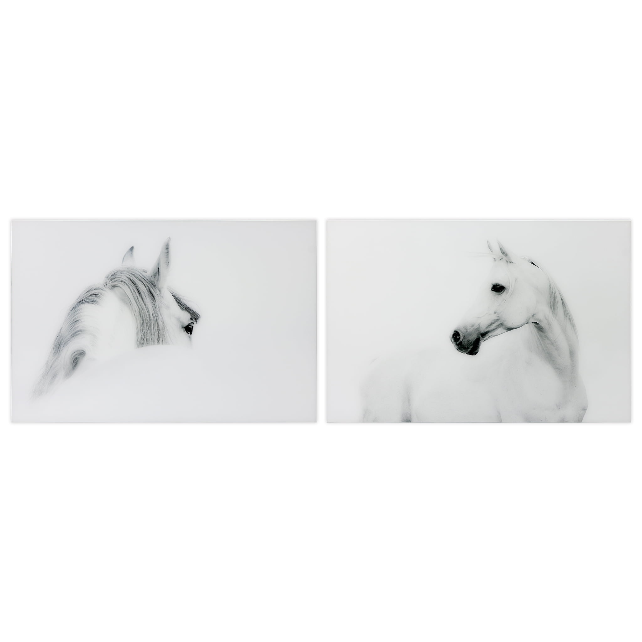 Empire Art Direct White Horses Set Frameless Free Floating Tempered Glass  Panel Graphic Wall Art, 48
