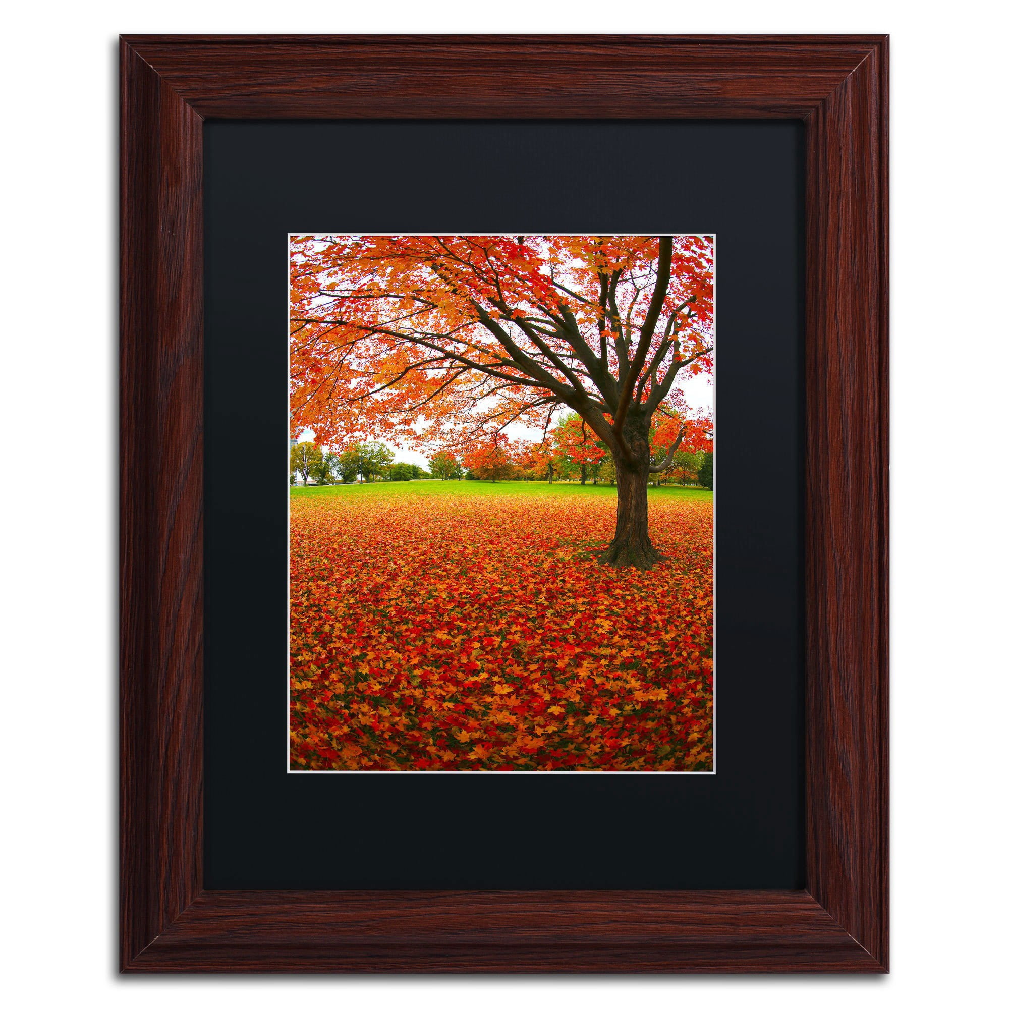 Trademark Fine Art "Autumn Expressions" Canvas Art by CATeyes, Black Matte, Wood Frame