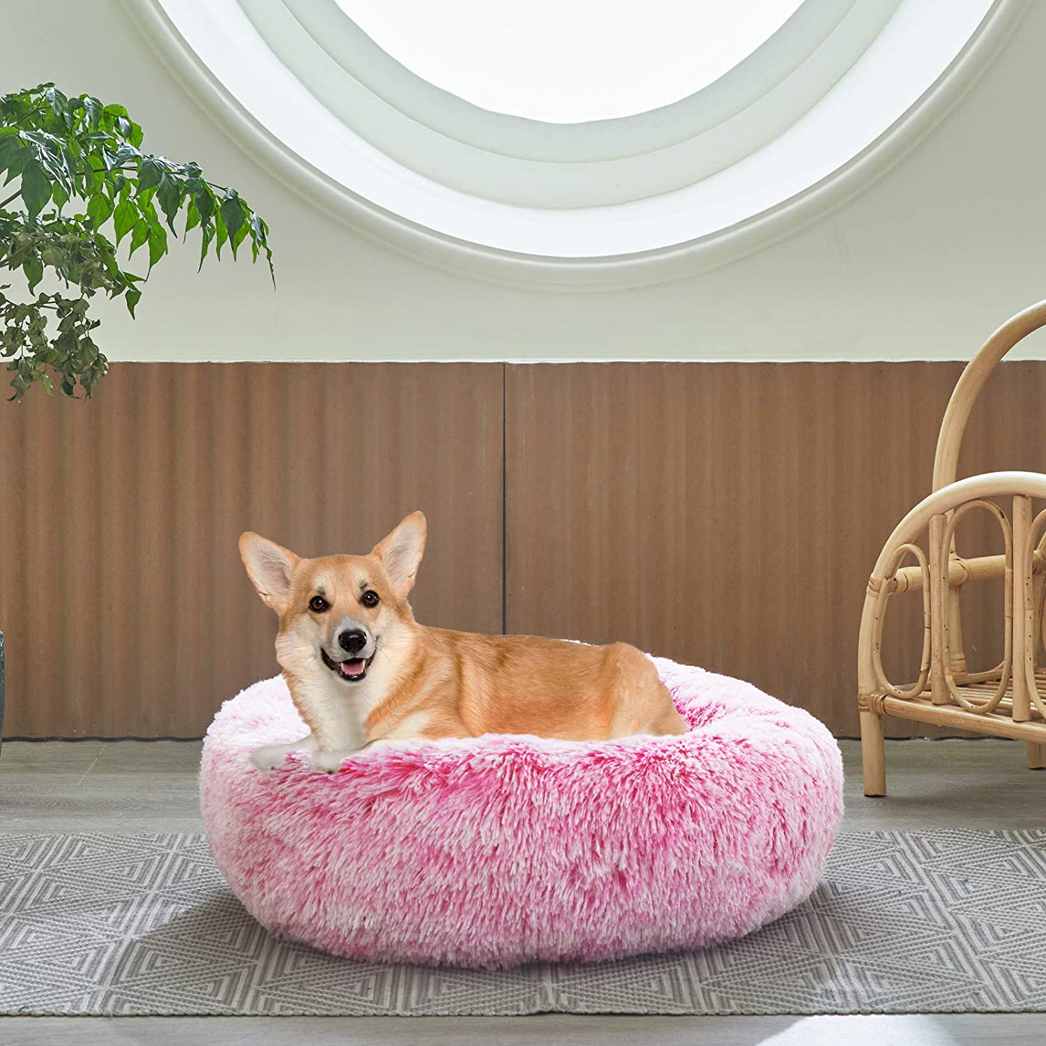 What Is The Warmest Bedding For A Dog