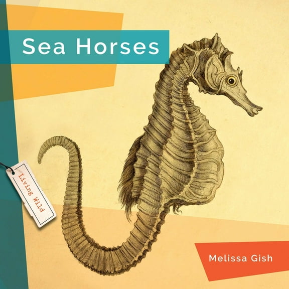 Seahorses, (Paperback)