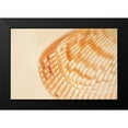 thumbnail image 2 of Millet, Karyn 18x13 Black Modern Framed Museum Art Print Titled - Ocean Treasures XII, 2 of 5
