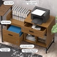 thumbnail image 4 of File Cabinet, 100 x 40 cm Lateral Filing Cabinet with 2 Drawers, Printer Stand, Open Storage Shelves for Home, Office, 4 of 5