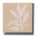 thumbnail image 1 of Epic Graffiti 'Leaf Study I' by Chris Paschke, Giclee Canvas Wall Art, 26"x26", 1 of 8