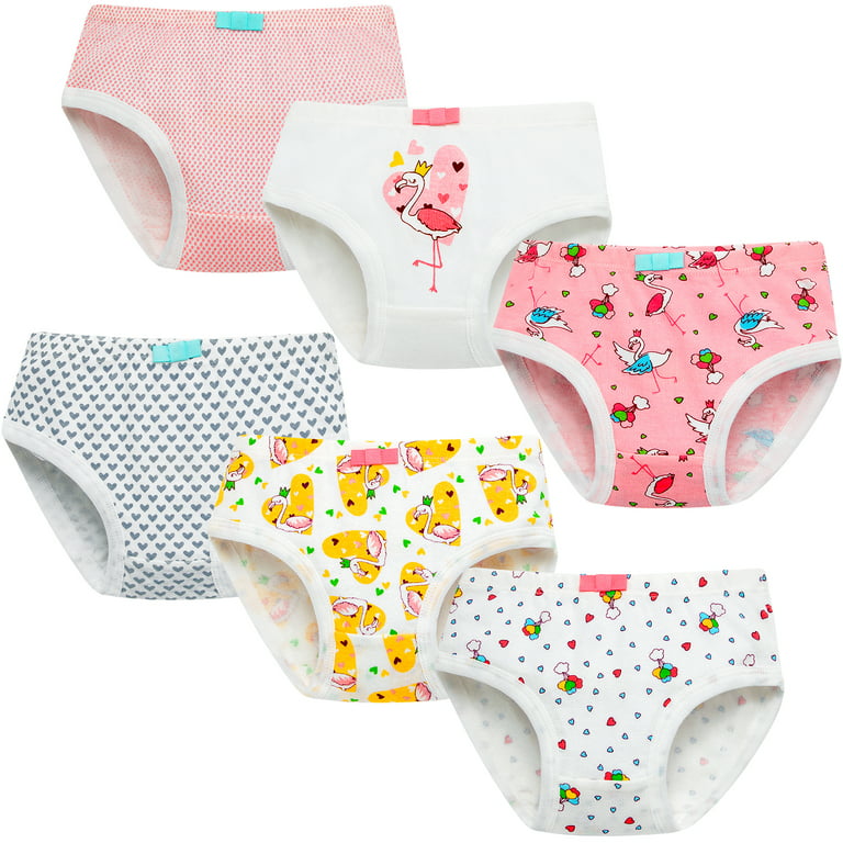 2-10 T Toddler Panties for Girls, Little Girls' Underwear, Pack of 6, Kids  Breathable Comfort Briefs 3-4 Years Old 