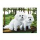 thumbnail image 3 of costura hecha a mano DIY de de impresos precisos Diseño de 45 * 36 cm Decoración Macarena Kits de punto de cruz para perros estampados, 3 of 8
