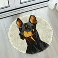 thumbnail image 5 of Latch Hook Rug Kit Doberman Pinscher Dog Stamped Handmade Round Shape Carpet Crochet Yarn Craft DIY Hook and Latch Door Mat Tapestry for Christmas Home Floor Decor 50x50cm(2), 5 of 7