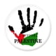 thumbnail image 3 of Broche Con Palestina Pequeño Metal para Traje Sombrero (estilo H), 3 of 4