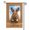 C, variant on XaaKee Garden Flags, Lovely Rabbit Welcome Typography Spring Garden Flag, Double-Sided High-Quality White Linen Summer Garden Flag for Outside Clearance, Patio Yard Lawn Decor, 12x18Inch